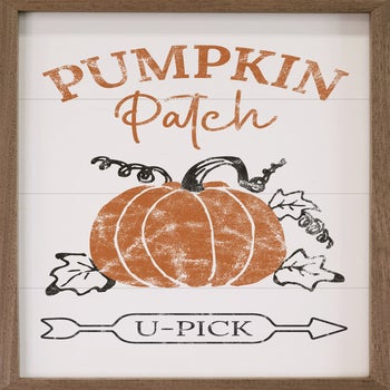 Pumpkin Patch U Pick Arrow White